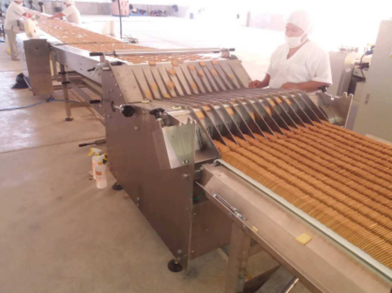 cracker biscuit production line (4)_副本.jpg